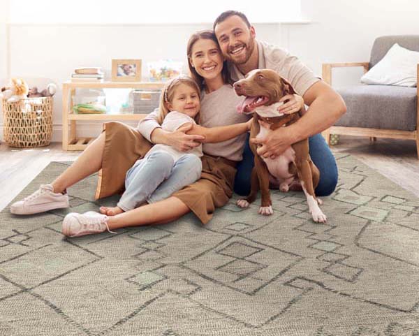 Sealy Rugs